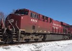 CP 8958